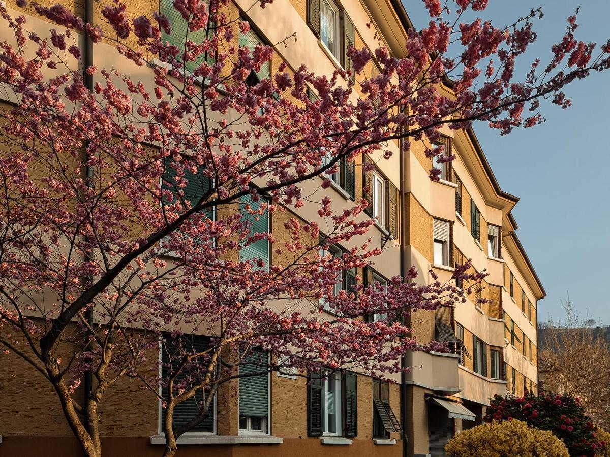 Appartamento Central Merano